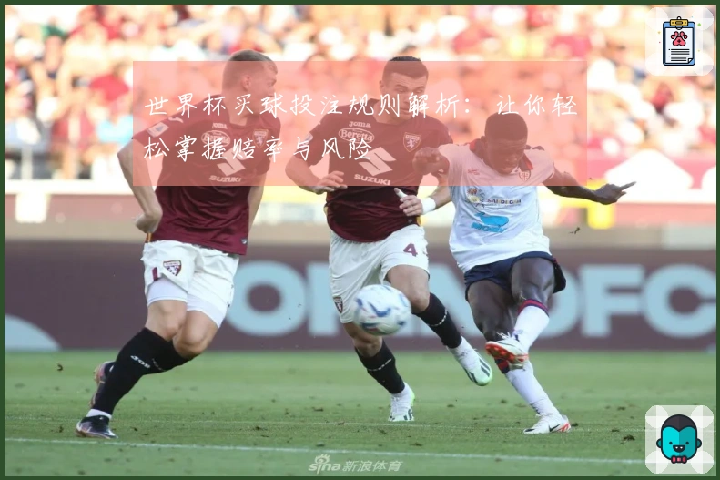 世界杯买球投注规则解析:让你轻松掌握赔率与风险