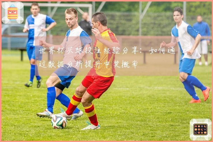 世界杯买球投注经验分享：如何通过数据分析提升中奖概率