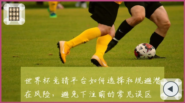 世界杯竞猜平台如何选择和规避潜在风险，避免下注前的常见误区