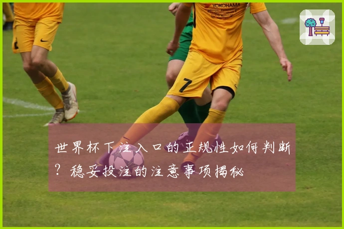世界杯下注入口的正规性如何判断？稳妥投注的注意事项揭秘