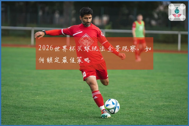2026世界杯买球玩法全景观察，如何锁定最佳策略