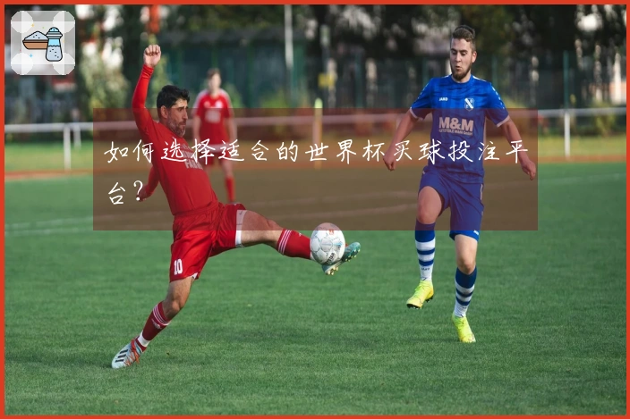 如何选择适合的世界杯买球投注平台？