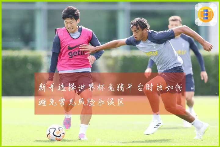 新手选择世界杯竞猜平台时该如何避免常见风险和误区