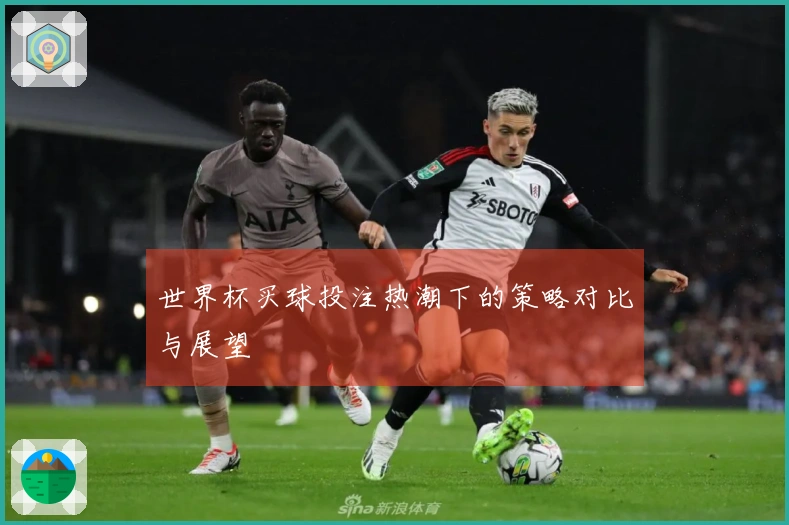 世界杯买球投注热潮下的策略对比与展望